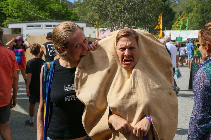 Bronwen, Woodford Folk Festival 2016/2017, Woodfordia