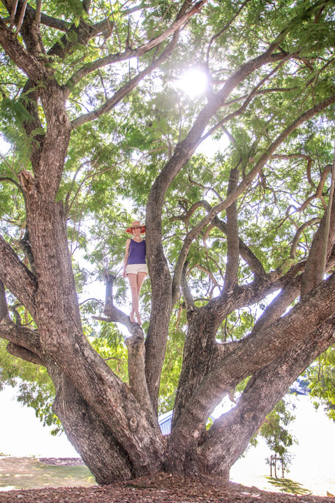 Bronwen climbing a tree, Walking along the river in West End, Brisbane