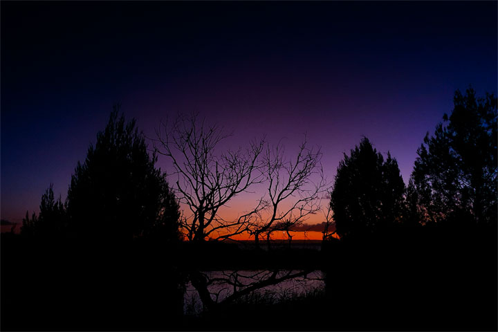 Buckleys Hole Conservation Park, Bribie Island