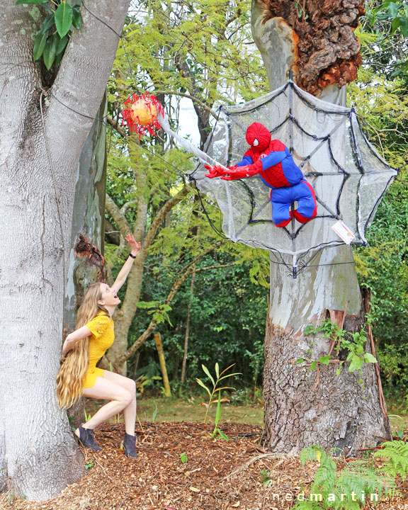 Bronwen at the Tamborine Mountain Scarecrow Festival