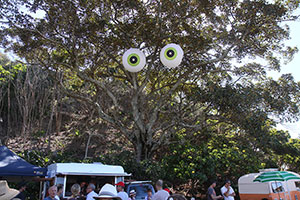 Some large eyes overlooking wood-fired pizza