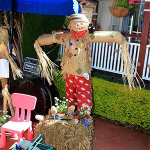 Tamborine Mountain Scarecrow Festival