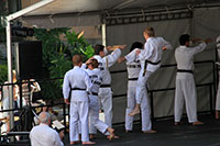 Moon Lee Taekwondo, Korean Multicultural Festival