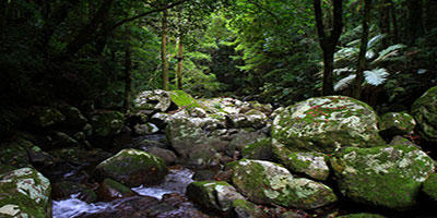 Coomera Creek