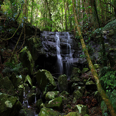 Waterfall, Coomera Circuit