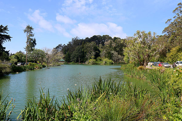 Golden Gate Park