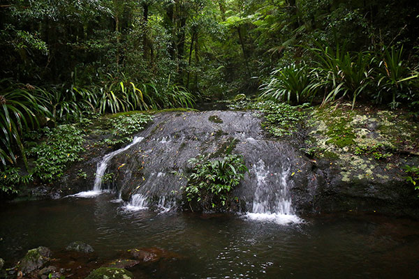 The creek cascades over some rocks