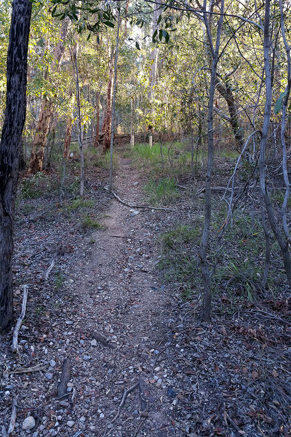 Walking up Mount Gravatt