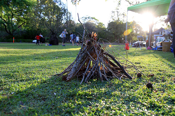 Brisbane Grass Roots Music Festival, Mount Coot-Tha Botanic Gardens