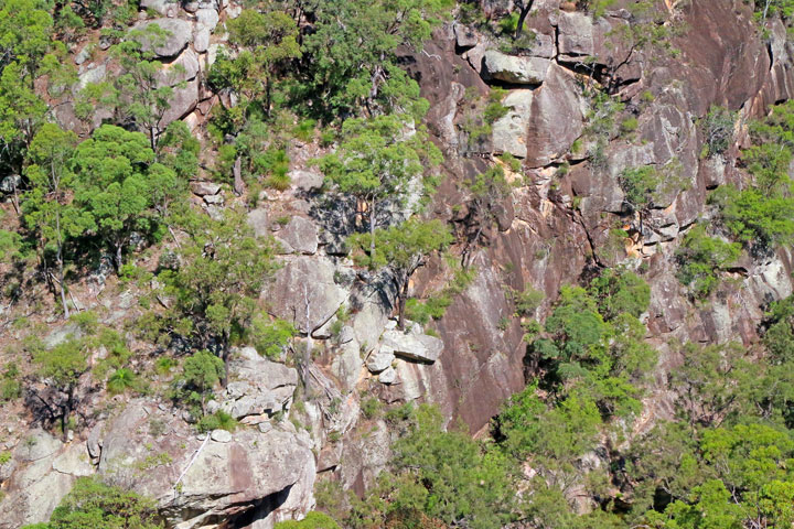 A cliff on Mt Barney