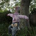 Scarecrows at Tamborine Mountain Scarecrow Festival