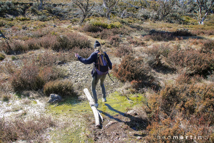 Bronwen, Walking to Four Mile Hut, Selwyn Snow Resort, Snowy Mountains