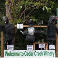 Scarecrows at Tamborine Mountain Scarecrow Festival