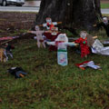 Scarecrows at Tamborine Mountain Scarecrow Festival