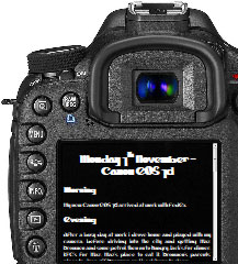 Canon EOS 7D Camera