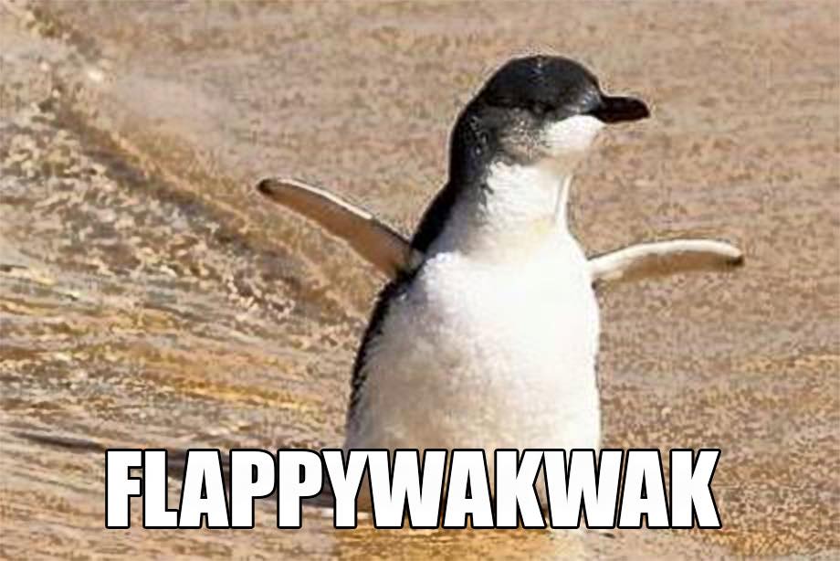 Flappywakwak: Accurate Animal Names: Australian Edition