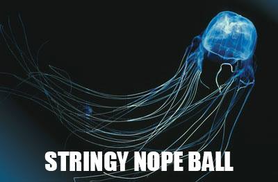 Stringy Nope ball: Accurate Animal Names: Australian Edition