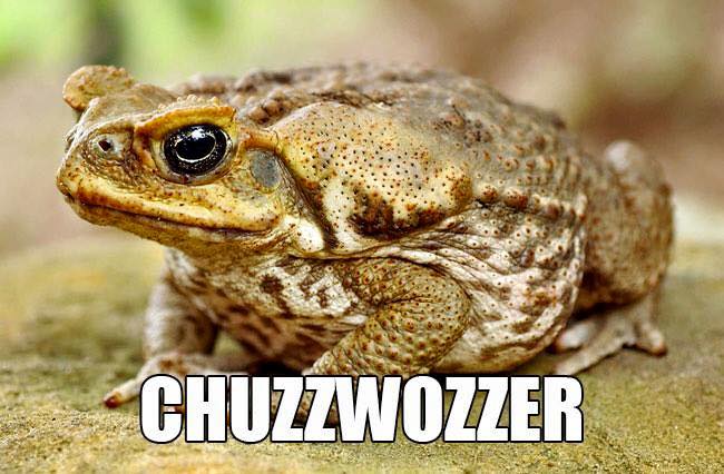 Chuzzwozzer: Accurate Animal Names: Australian Edition