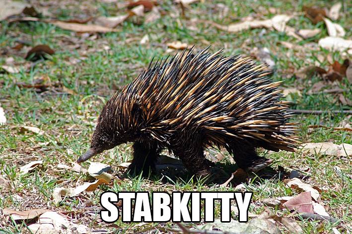 Stabkitty: Accurate Animal Names: Australian Edition