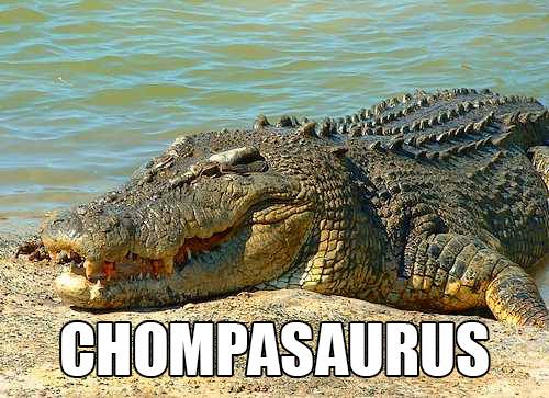 Chompasaurus: Accurate Animal Names: Australian Edition
