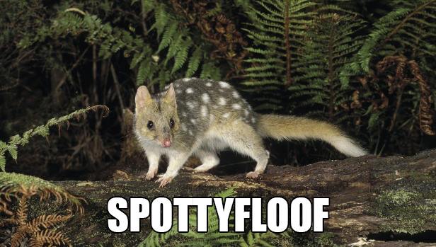 Spottyfloof: Accurate Animal Names: Australian Edition