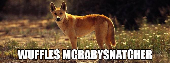 Wuffles Mcbabysnatcher: Accurate Animal Names: Australian Edition