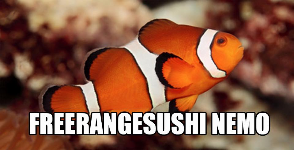 Freerangesushi Nemo: Accurate Animal Names: Australian Edition