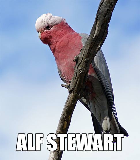 Alf Stewart: Accurate Animal Names: Australian Edition