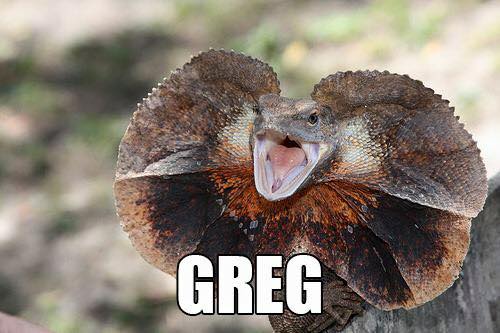 Greg: Accurate Animal Names: Australian Edition