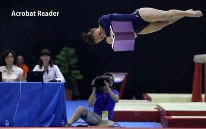 Acrobat Reader