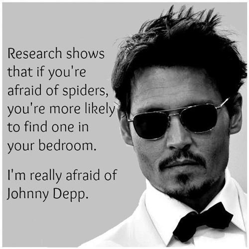 Research shows that if you’re afraid of spiders, you’re more likely to find one in your bedroom. I’m really afraid of Johnny Depp.