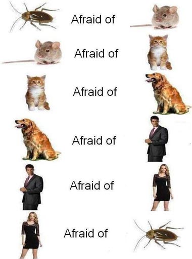 The Circle of Life: Who is afraid of who?