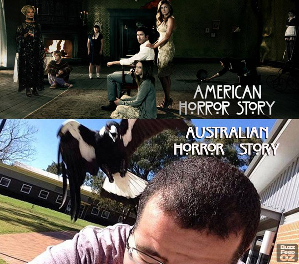 American Horror Story versus Australian Horror Story