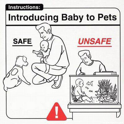 Baby Instructions: Introducing Baby to Pets