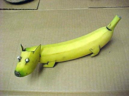 Banana Dog