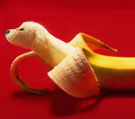 Banana Dog