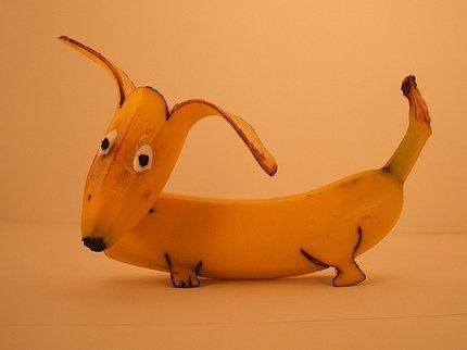 Banana Dog