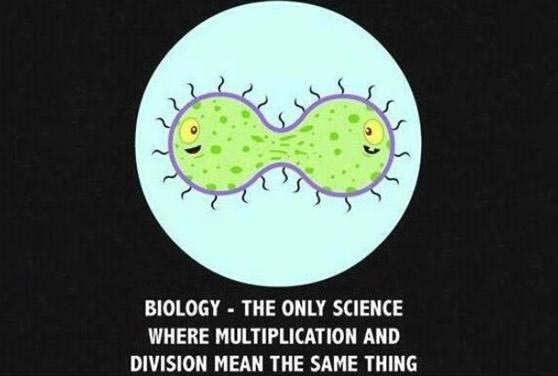 Biology – the only science where multiplication and division mean the same thing