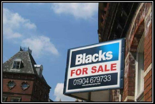 Blacks for sale