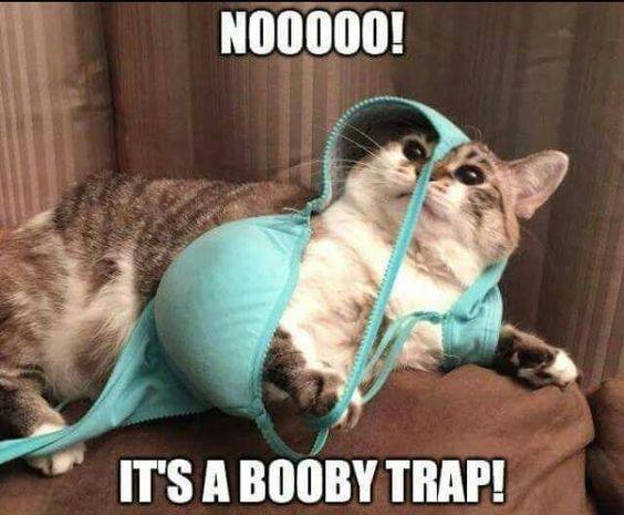 Nooo! It’s a booby trap!