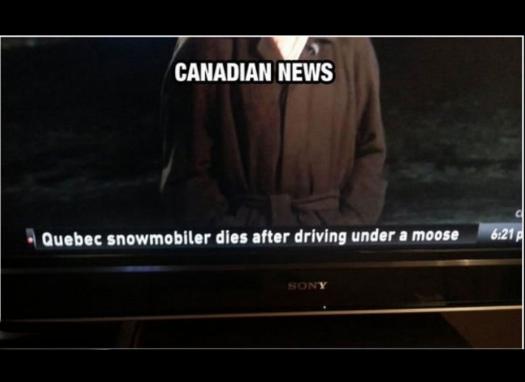 Canadian News  Quebec snowmobiler dies after driving under a moose