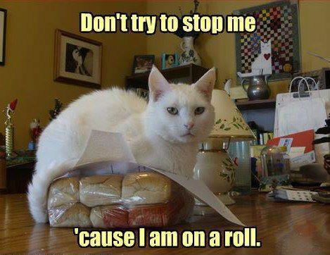 Don’t try to stop me… ‘cause I am on a roll.