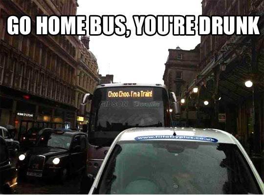 Go home bus, you’re drunk!
