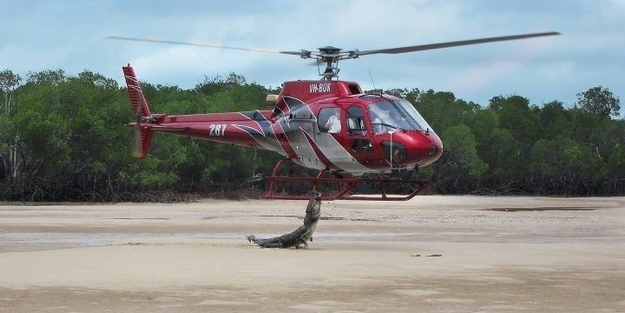 Crocodiles attacking helicopters. (Totally normal.)