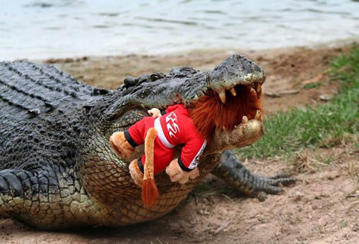 [Crocodile with stuffed lion in its mouth] An interesting dinnertime story…