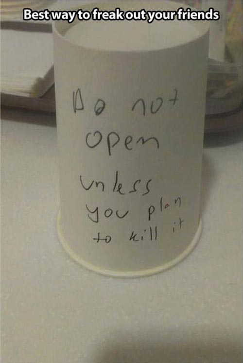 Best way to freak out your friends: Do not open unless you plan to kill it (written on an upside down container)