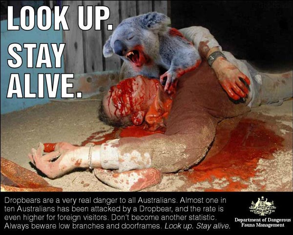 Dropbears are a very real danger to all Australians. Almost one in ten Australians has been attacked by a Dropbear, and the rate is even higher for foreign visitors. Don’t become another statistic. Always beware low branches and doorframes. Look up. Stay Alive.