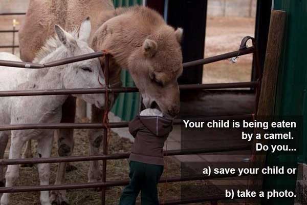 Your child is being eaten by a camel. Do you… a) Save your child, or b) Take a photo