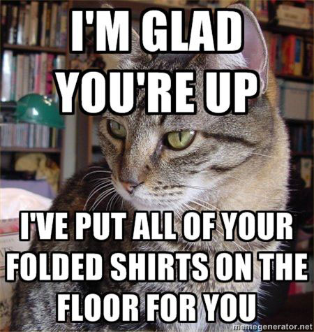 I’m Glad You’re Up. I’ve put all of your folded shirts on the floor for you.
