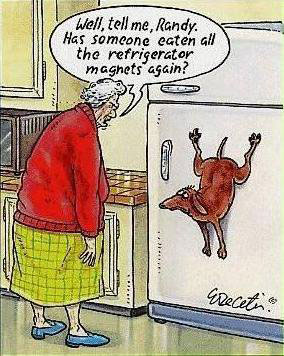 An old says to a guilty-looking dog stuck vertically to the door of a refrigerator, “Well, tell me, Randy. Has someone eaten all the refrigerator magnets again?”